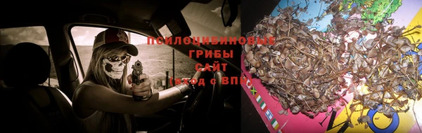 дурь Михайловка