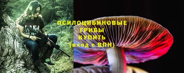 дурь Михайловка