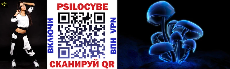KRAKEN Екатеринбург Псилоцибиновые грибы Cubensis